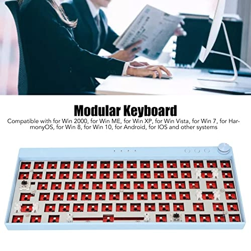 65% RGB Modular DIY Mechanical Keyboard - Wireless