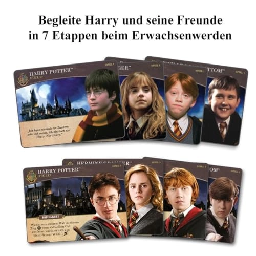 Harry Potter Kampf um Hogwarts (German)