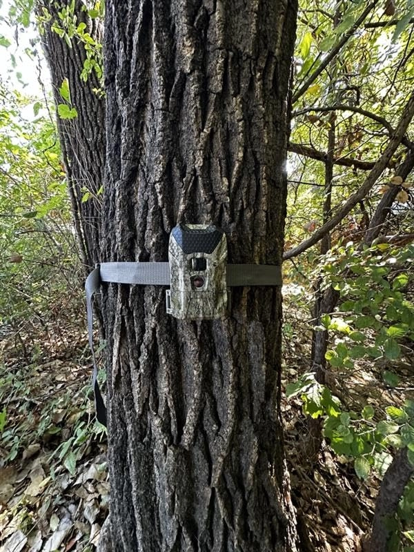 Ridgeline Wraith - 26 MP