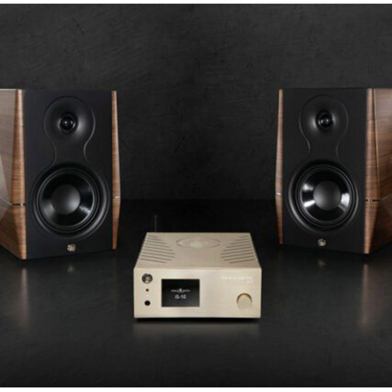 IS-10 - 2 channels 90 Watt