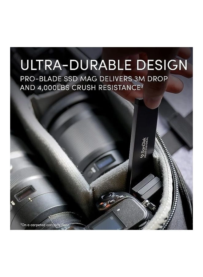 PRO-BLADE Transport - 2 TB