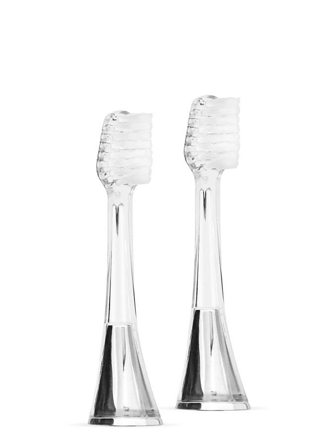 Zina45 Brush Head - Silver Pack of 2