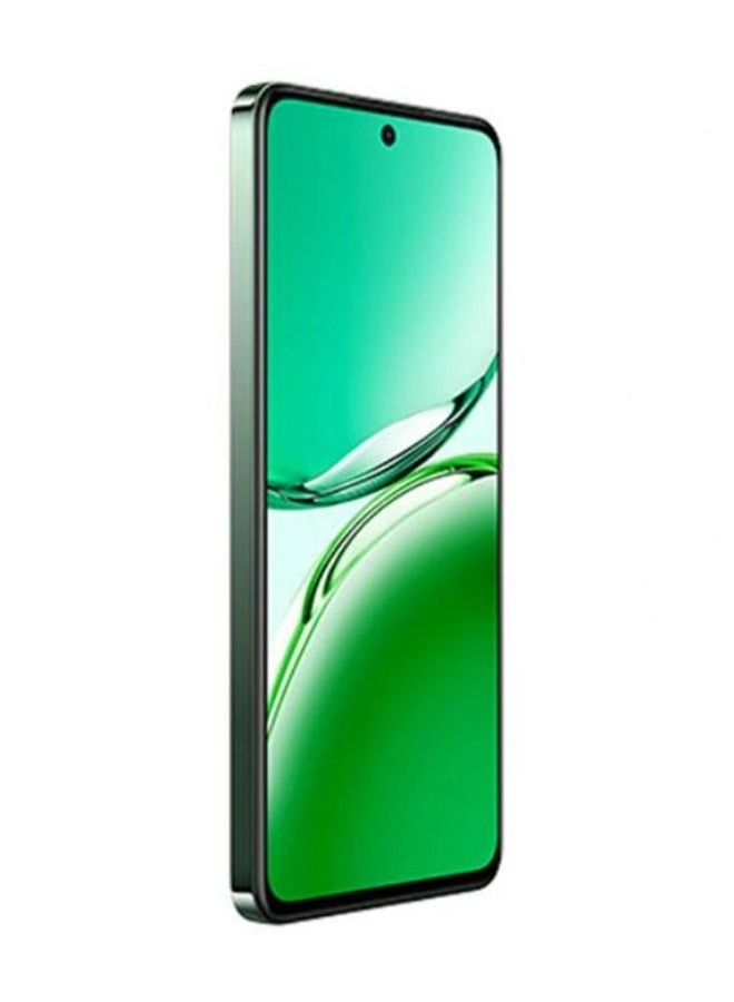 Reno12 F - 12GB 256GB