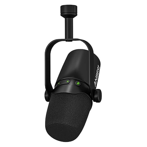 4NB507138_ae456LHL USB Microphone