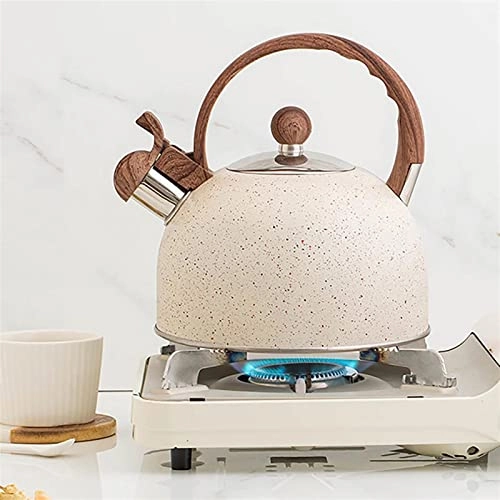 Kettle teapot - الفولاذ المقاوم للصدأ 2.5 لتر