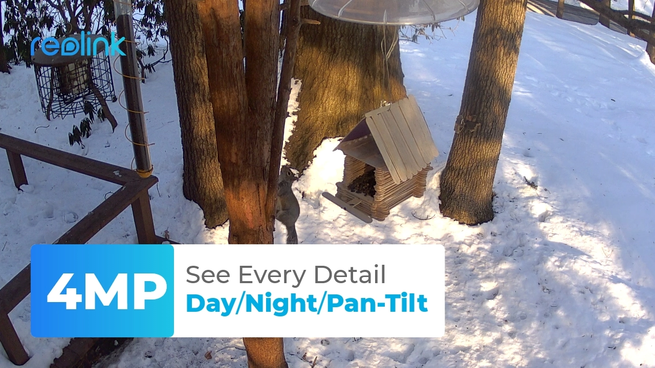 Argus PT + Sun-Powered Panel