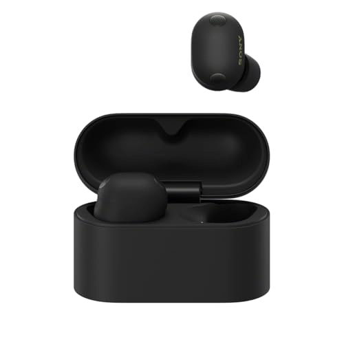 WF-1000XM6 Wireless Earbud