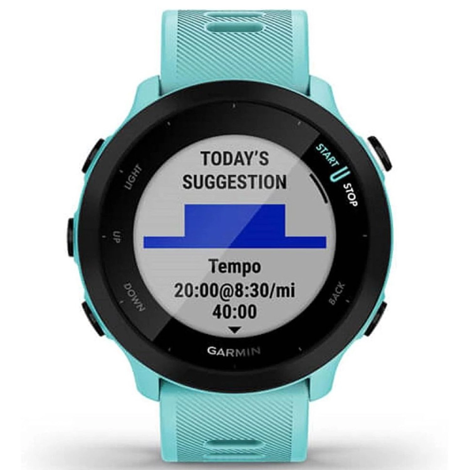 Forerunner 55 42mm Glass GPS