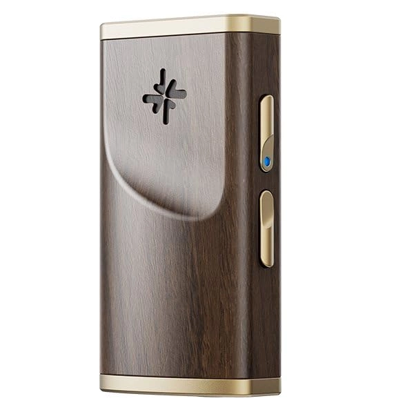 BTR13 - Dual CS43131