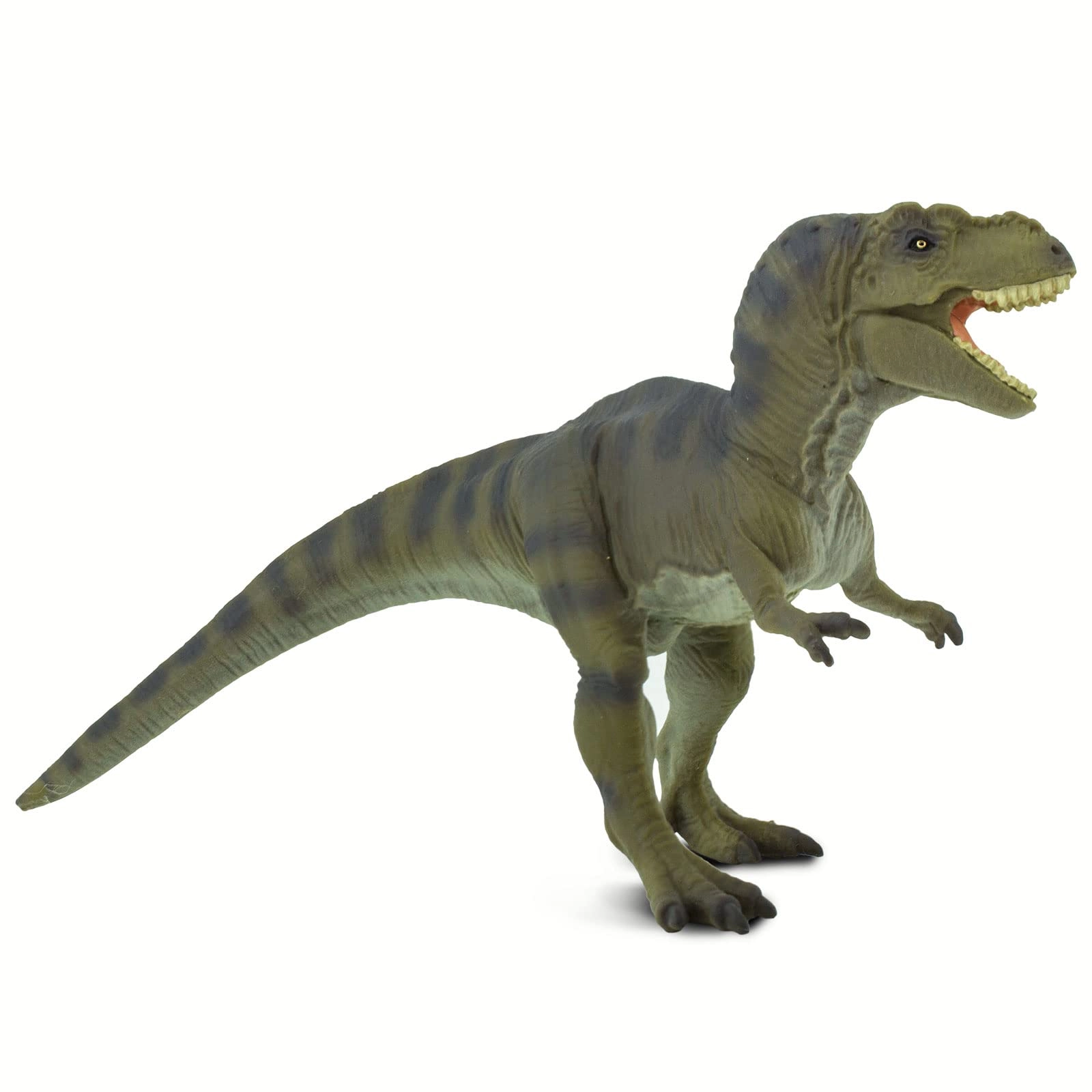 Dinosaur - Tyrannosaurus Rex