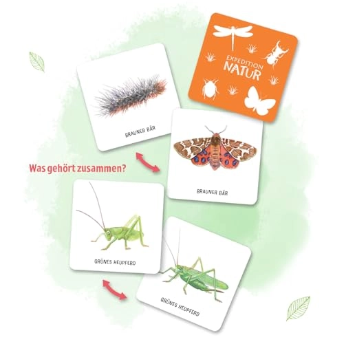 Das große Insekten Memo: Wer findet die meisten Paare? (English, German)