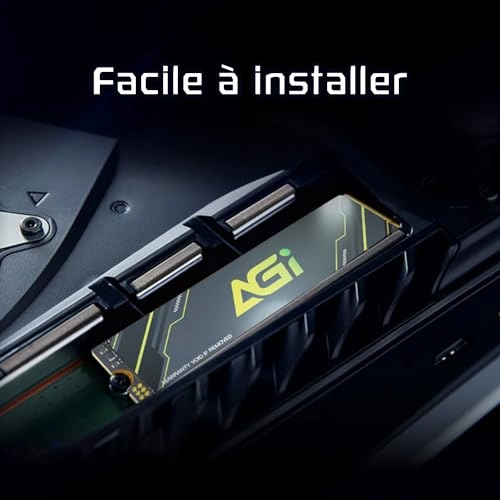AI818 - 2TB 2280 Inches