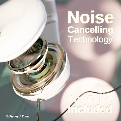 DSMI-BTHP Wireless Headphone