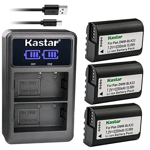 DMW-BLK22 - 2200mAh + DMW-BTC15