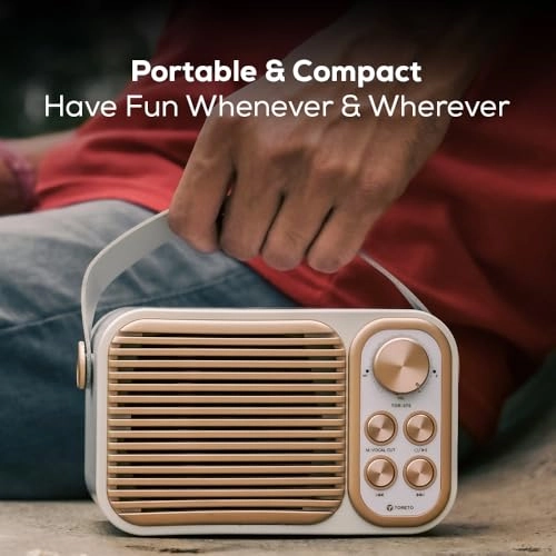 Retro Mini - 20W