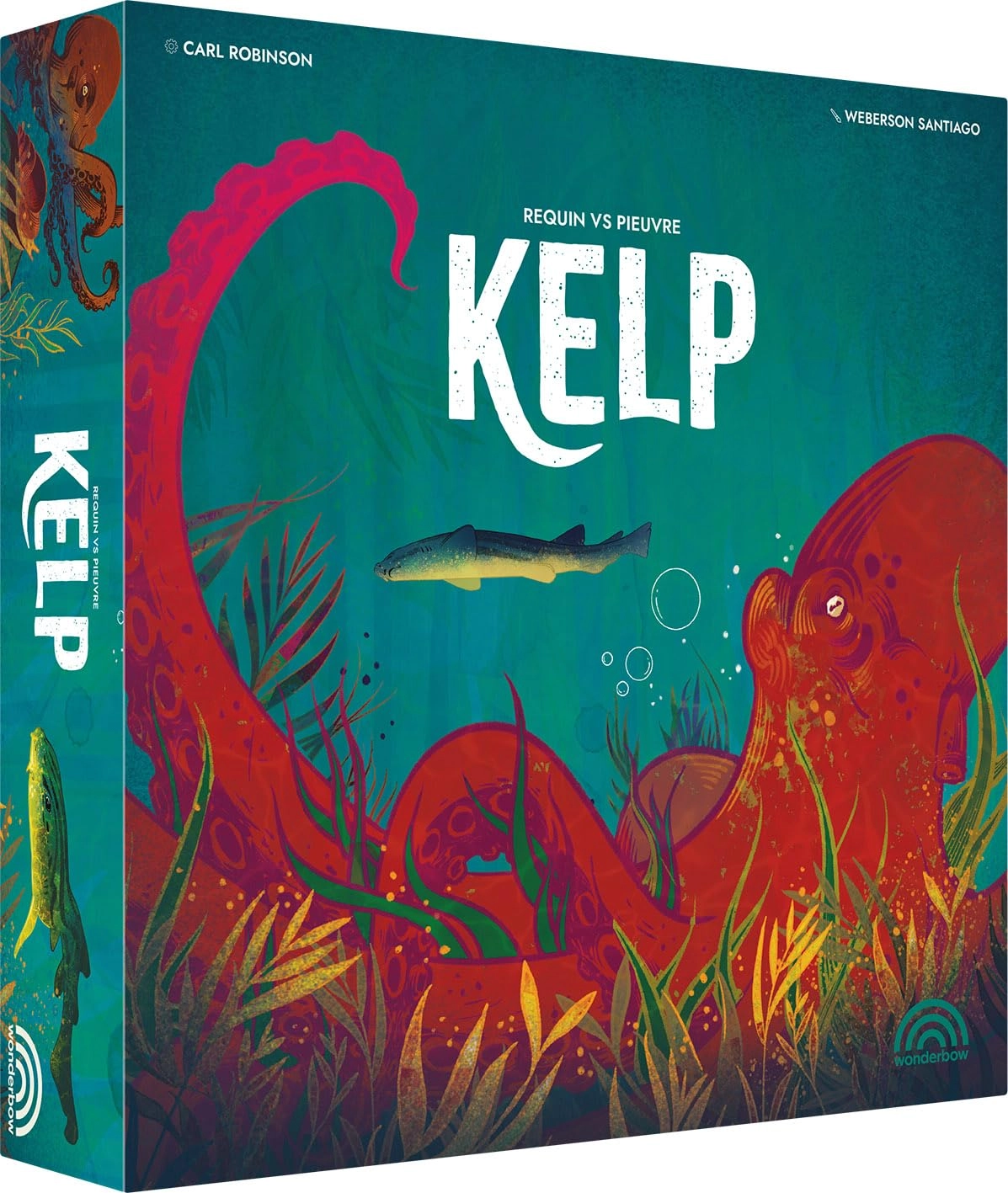 Asmodee Kelp - Strategy Game (French)