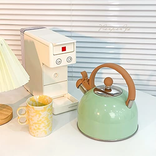 Stainless Steel Kettle - 2.5L