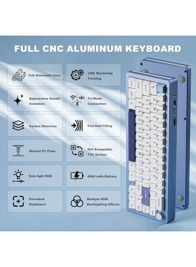 AL66 - 65% Wired/Wireless