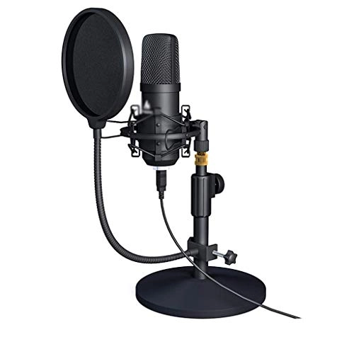 ss1/i47334 USB Microphone