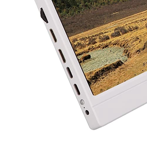 Portable Monitor - FHD 1080p 17.3 Inches