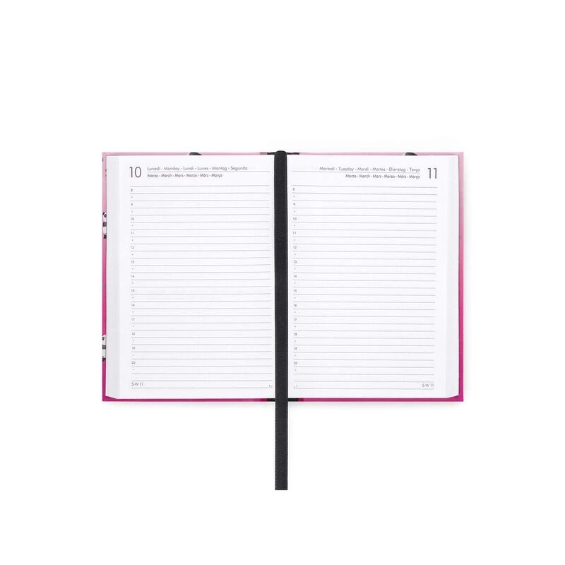 16-Month Daily Diary