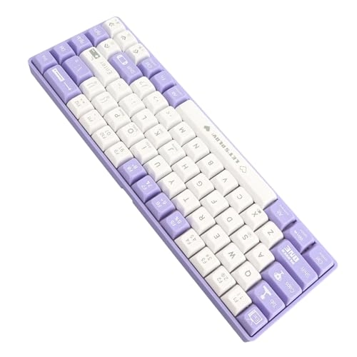 61 Keys Mechanical Keyboard