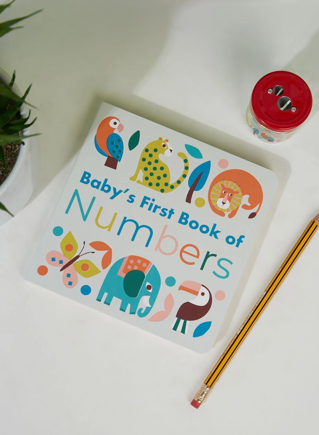 REX LONDON Wild Wonders First Book Of Numbers