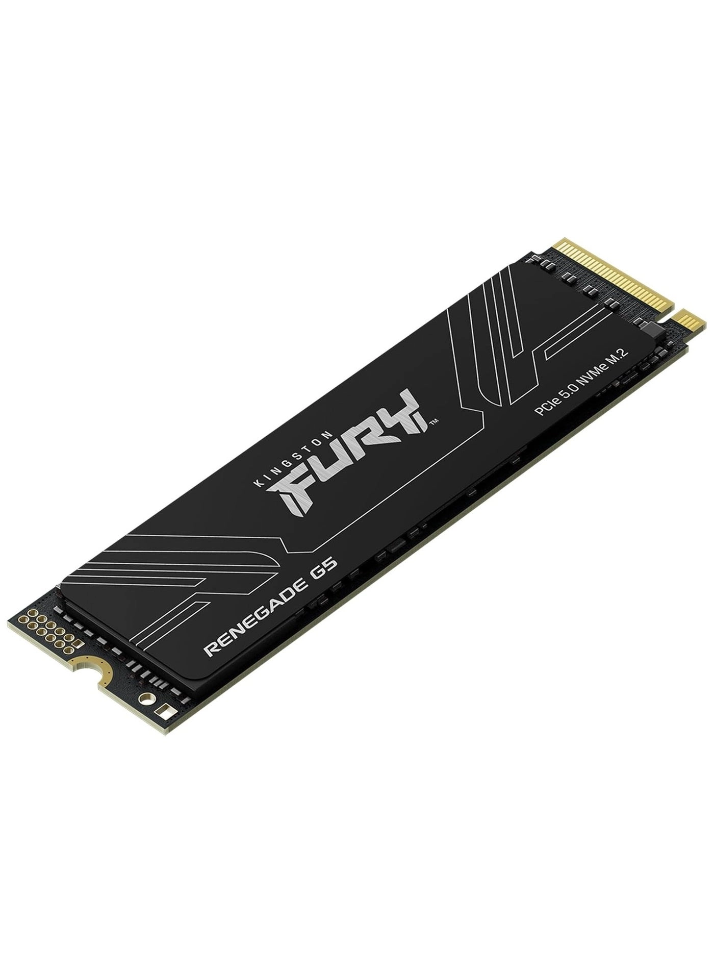 Fury Renegade G5 - 1 TB M.2