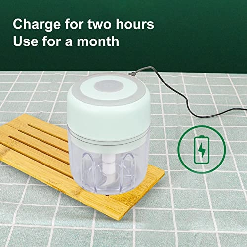 Electric Garlic Chopper - 250ml USB Rechargeable