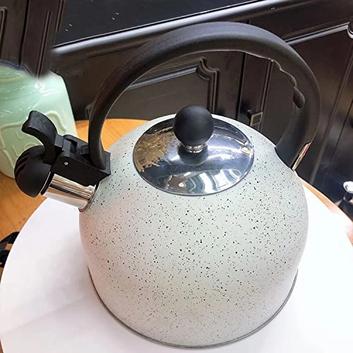 Stainless Steel Kettle - 2.5L