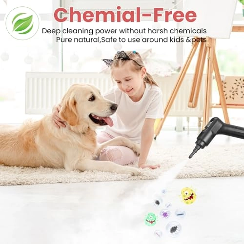 steam cleaner - 3BAR 1600 Milliliters