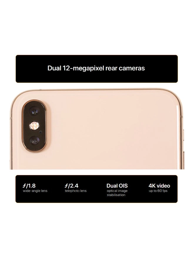 iPhone XS Max - 512GB