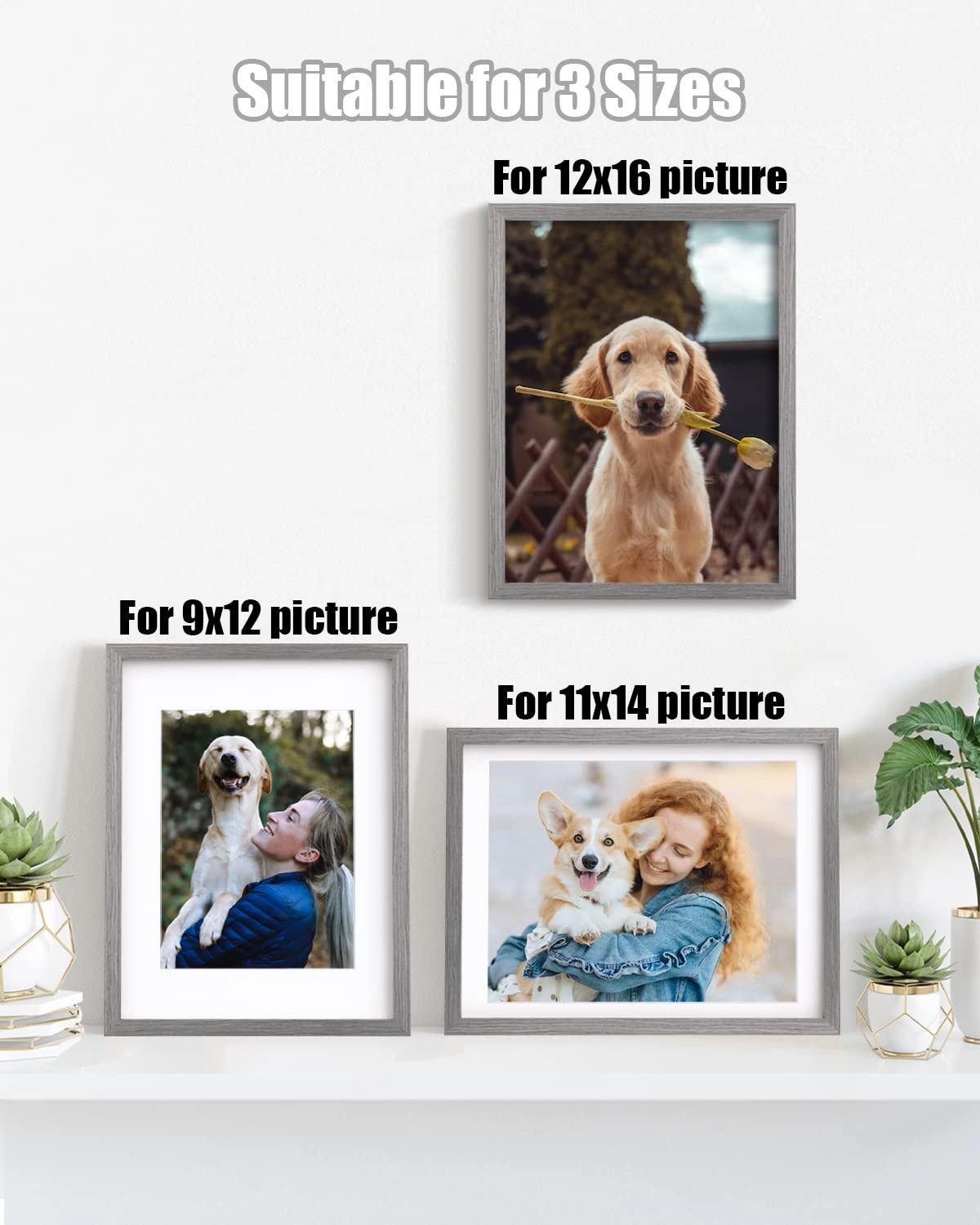 picture frames - 12x16