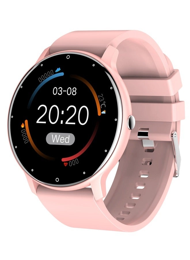 RT-ZL02Pro