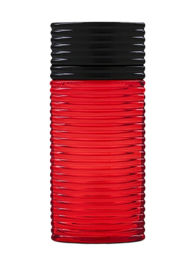 Egra Men Eau de Parfum 100 ml