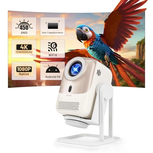 Y-EU-KP1 450 ANSI lumens