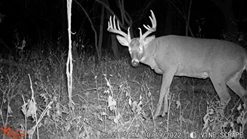 Terra Extreme XD - 16MP