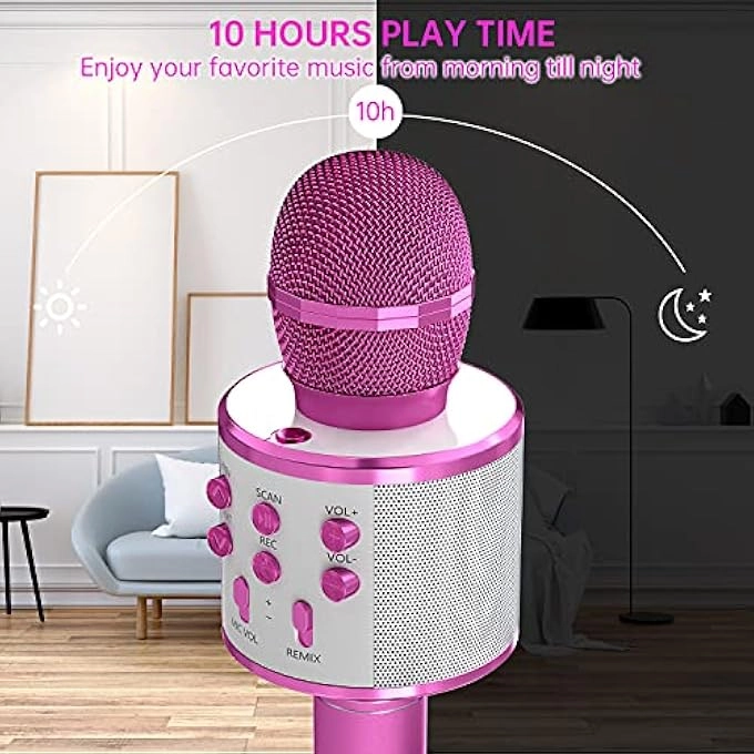 rayihni Karaoke Microphone Pack