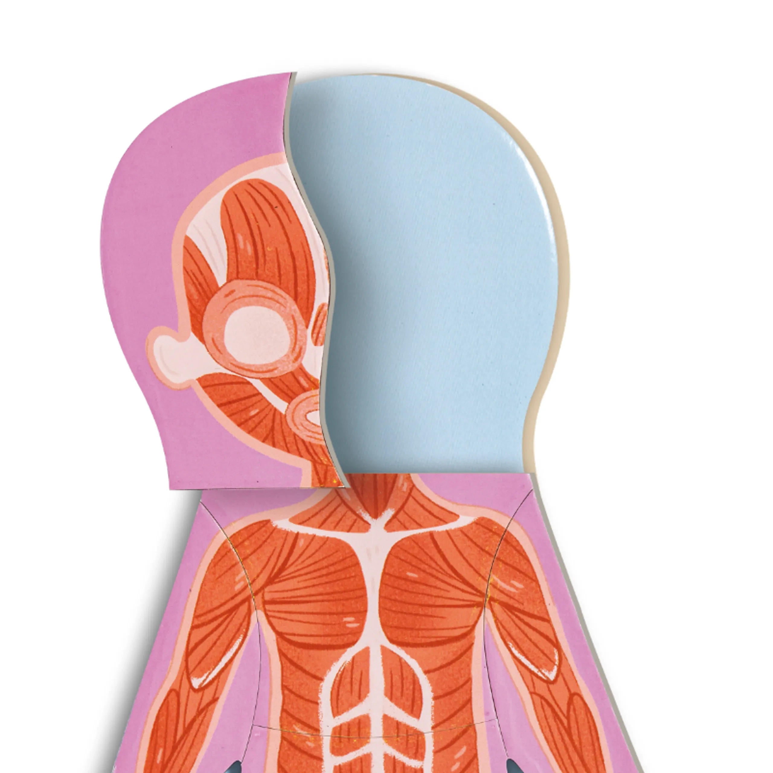 Human Body Parts Magnetic Learning Puzzle - Suitable for 3-4 years 68pcs