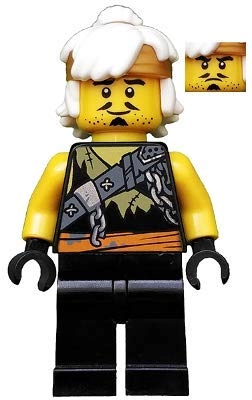 Teen Wu - Ninjago - 13 years and up 9 Bundle