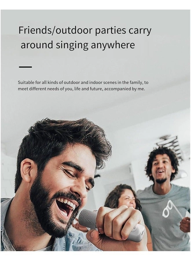 YS 203 - Dual Microphone Support