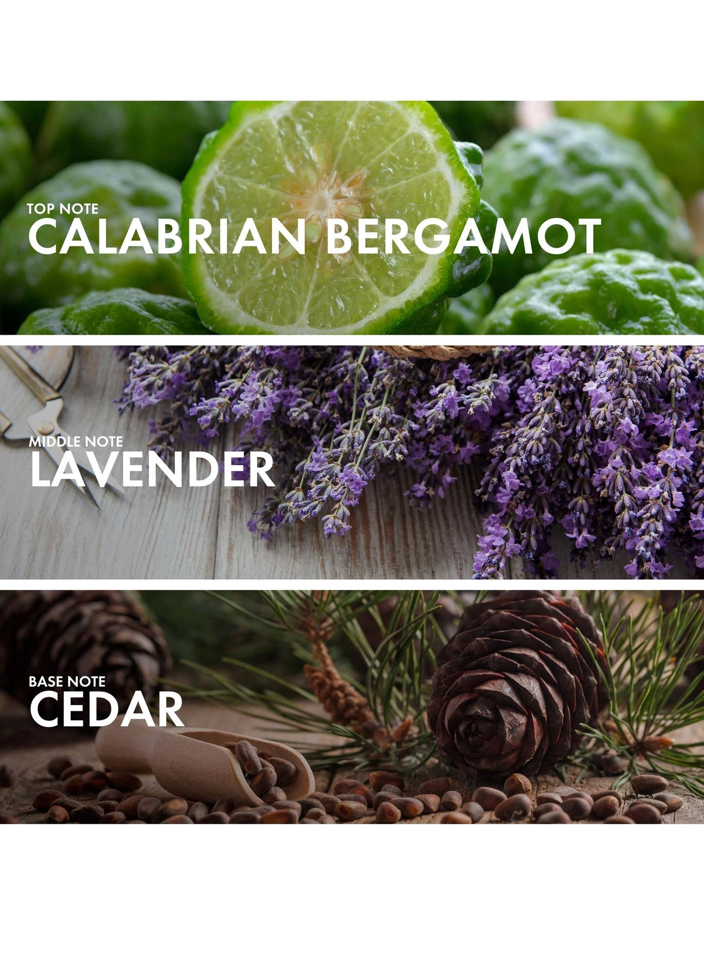 Aromatic Passionfruit - Eau de Parfum 50 ml