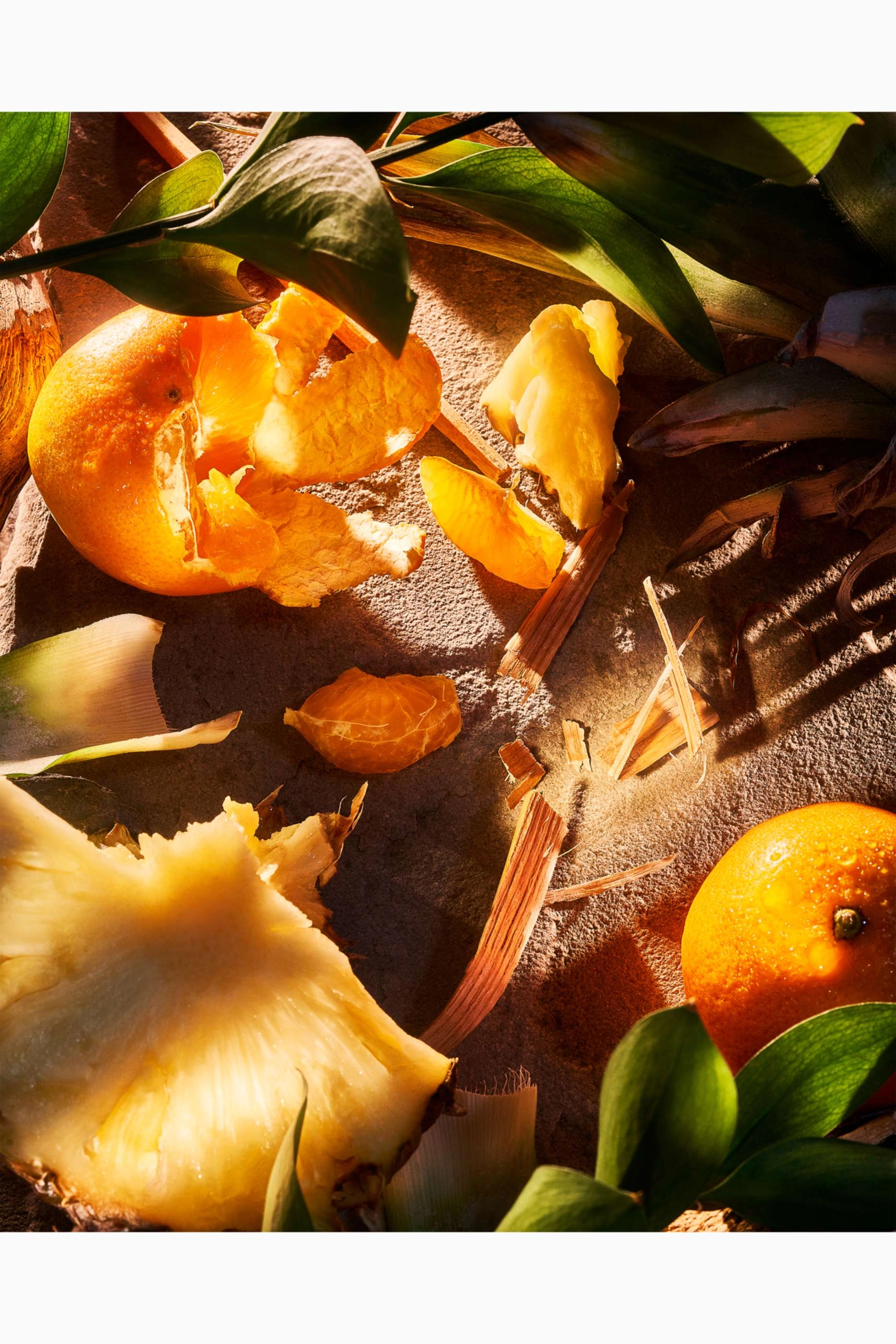 Apex Pour Homme Eau de Parfum 100ml