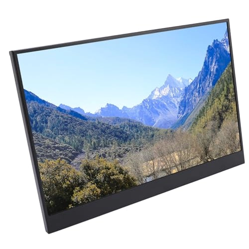 Laptop Display Extender - 1920x1200 12 Inch