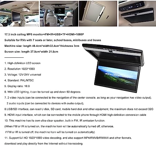 Car Video Player - 17.3 Inch