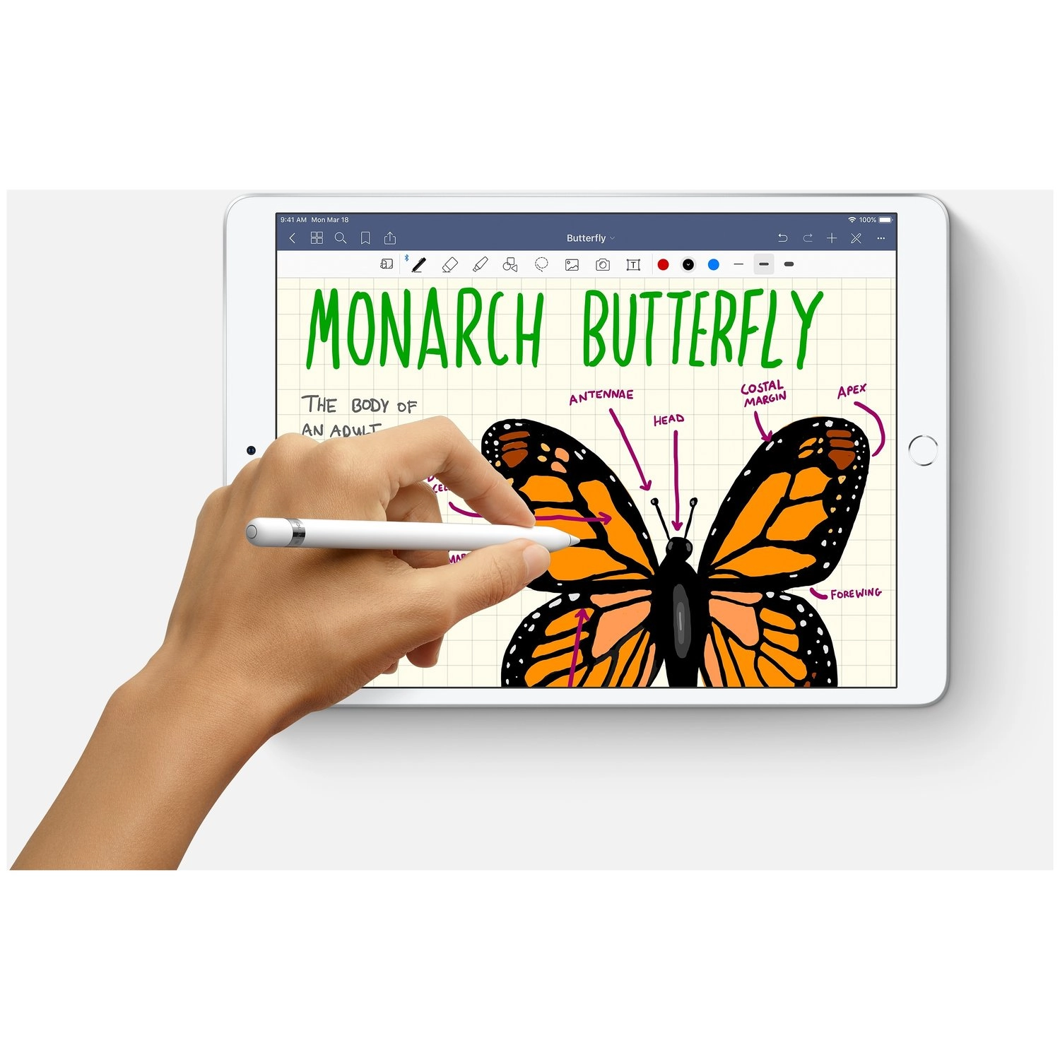 iPad Air (2019) - 256GB 10.5"