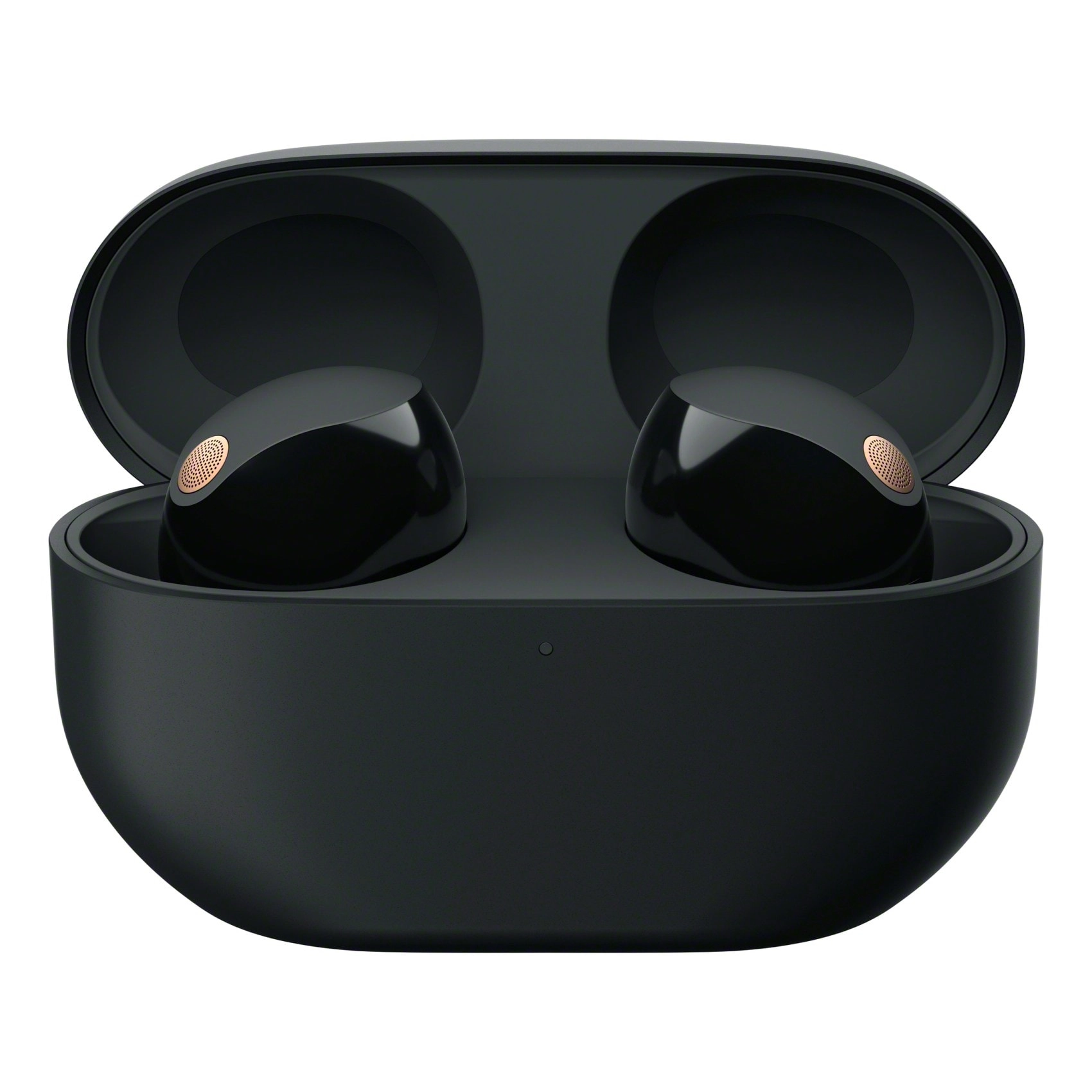 Sony WF-1000XM5 - Wireless Earbud + XB13 - Speaker