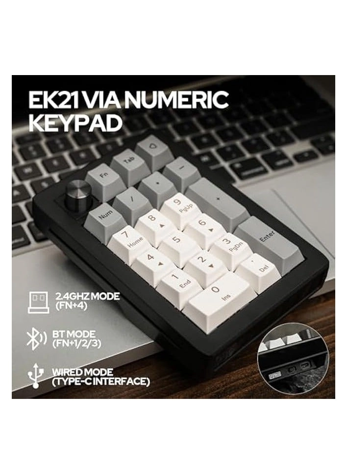 EK21 - Wisteria Linear Switch