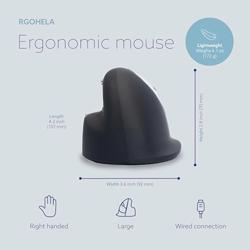 HE Ergonomic Mouse (Large, Right Handed) - USB