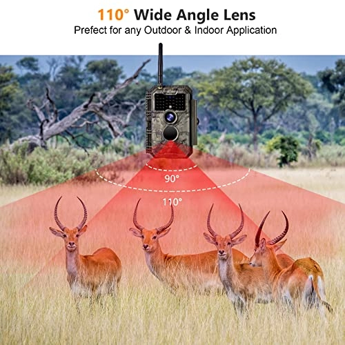 Trail Camera - 24 megapixel